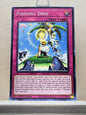 Yugioh! Eternity Code Singles (ETCO - Common) 1st Edition