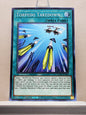 Yugioh! Eternity Code Singles (ETCO - Common) 1st Edition