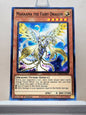 Yugioh! Phantom Rage Singles (PHRA - Common) 1st Edition