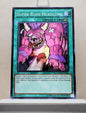 Yugioh! Dimension of Chaos Singles (DOCS - Common) 1st/Unli Edition