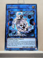 Yugioh! Toon Chaos Singles (TOCH - Rare) 1st/Unli Edition