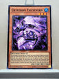 Yugioh! Invasion Vengeance Singles (INOV - Common) 1st/Unli Edition