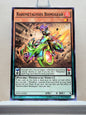 Yugioh! Invasion Vengeance Singles (INOV - Common) 1st/Unli Edition