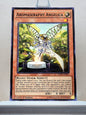 Yugioh! Invasion Vengeance Singles (INOV - Common) 1st/Unli Edition