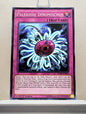 Yugioh! Invasion Vengeance Singles (INOV - Common) 1st/Unli Edition