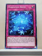 Yugioh! Chaos Impact Singles (CHIM - Common) 1st/Unli Edition