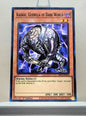 Yugioh! Structure Deck: Dark World Singles (SR13 - Common) 1st Edition