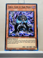 Yugioh! Structure Deck: Dark World Singles (SR13 - Common) 1st Edition