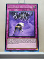 Yugioh! Structure Deck: Dark World Singles (SR13 - Common) 1st Edition