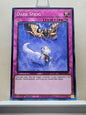 Yugioh! Structure Deck: Dark World Singles (SR13 - Common) 1st Edition