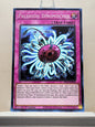 Yugioh! Structure Deck: Dark World Singles (SR13 - Common) 1st Edition