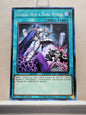 Yugioh! Structure Deck: Dark World Singles (SR13 - Common) 1st Edition