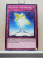 Yugioh! Legendary Duelists: Magical Hero Singles (LED6 - Common/Rare) 1st/Unli Edition