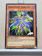 Yugioh! Legendary Duelists: Immortal Destiny Singles (LED5 - Common) 1st Edition