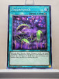 Yugioh! Legendary Duelists: Immortal Destiny Singles (LED5 - Common) 1st Edition