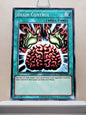 Yugioh! Yugi's Legendary Decks SET A Singles (YGLD - Common) 1st/Unli Edition