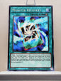 Yugioh! Yugi's Legendary Decks SET A Singles (YGLD - Common) 1st/Unli Edition