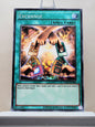 Yugioh! Yugi's Legendary Decks SET B Singles (YGLD - Common) 1st/Unli Edition