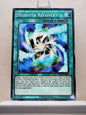 Yugioh! Yugi's Legendary Decks SET B Singles (YGLD - Common) 1st/Unli Edition