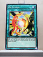 Yugioh! Yugi's Legendary Decks SET B Singles (YGLD - Common) 1st/Unli Edition