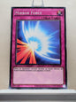 Yugioh! Yugi's Legendary Decks SET C Singles (YGLD - Common) 1st/Unli Edition