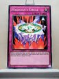 Yugioh! Yugi's Legendary Decks SET C Singles (YGLD - Common) 1st/Unli Edition