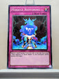 Yugioh! Yugi's Legendary Decks SET C Singles (YGLD - Common) 1st/Unli Edition