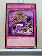 Yugioh! Duelist Pack: Battle City Singles (DPBC - Common/Rare) 1st Edition