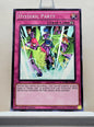 Yugioh! Duelist Pack: Battle City Singles (DPBC - Common/Rare) 1st Edition