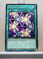 Yugioh! Duelist Pack: Battle City Singles (DPBC - Common/Rare) 1st Edition