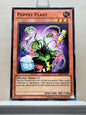 Yugioh! Starter Deck: Kaiba Reloaded Singles (YSKR - Common) Unli Edition