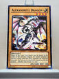 Yugioh! Starter Deck: Kaiba Reloaded Singles (YSKR - Common) Unli Edition