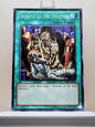 Yugioh! Starter Deck: Kaiba Reloaded Singles (YSKR - Common) Unli Edition