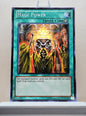 Yugioh! Starter Deck Yugi Reloaded Singles (YSYR - Common) Unli Edition