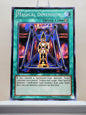 Yugioh! Starter Deck Yugi Reloaded Singles (YSYR - Common) Unli Edition