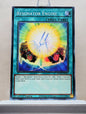 Yugioh! Structure Deck: The Crimson King Singles (SDCK - Common) 1st Edition