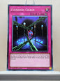 Yugioh! Structure Deck: The Crimson King Singles (SDCK - Common) 1st Edition