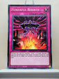 Yugioh! Structure Deck: The Crimson King Singles (SDCK - Common) 1st Edition