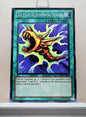 Yugioh! Duelist Pack: Kaiba Singles (DPKB - Common/Rare) Unli Edition