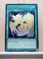 Yugioh! 1x Duelist Genesis (MP24 - Ultra Rare) 1st Edition