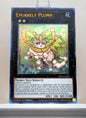 Yugioh! 1x Epurrely Plump (MP24 - Ultra Rare) 1st Edition