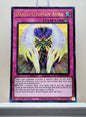 Yugioh! 1x Draco Utopian Aura (MP24 - Ultra Rare) 1st Edition