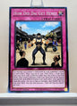 Yugioh! 25th Anniversary Tin: Dueling Mirrors Singles Set 2 (MP24 - Common) 1st Edition