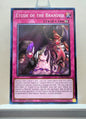 Yugioh! 25th Anniversary Tin: Dueling Mirrors Singles Set 2 (MP24 - Common) 1st Edition