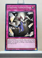 Yugioh! 25th Anniversary Tin: Dueling Mirrors Singles Set 2 (MP24 - Common) 1st Edition