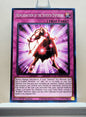 Yugioh! 25th Anniversary Tin: Dueling Mirrors Singles Set 2 (MP24 - Common) 1st Edition