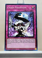 Yugioh! 25th Anniversary Tin: Dueling Mirrors Singles Set 2 (MP24 - Common) 1st Edition