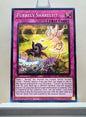 Yugioh! 25th Anniversary Tin: Dueling Mirrors Singles Set 2 (MP24 - Common) 1st Edition