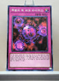 Yugioh Korean! Duelist Road: Yami Yugi Singles (15AX-KRY - Millennium Rare)