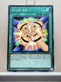 Yugioh Korean! Duelist Road: Yugi Moto Singles (15AX-KRM - Millennium Rare)